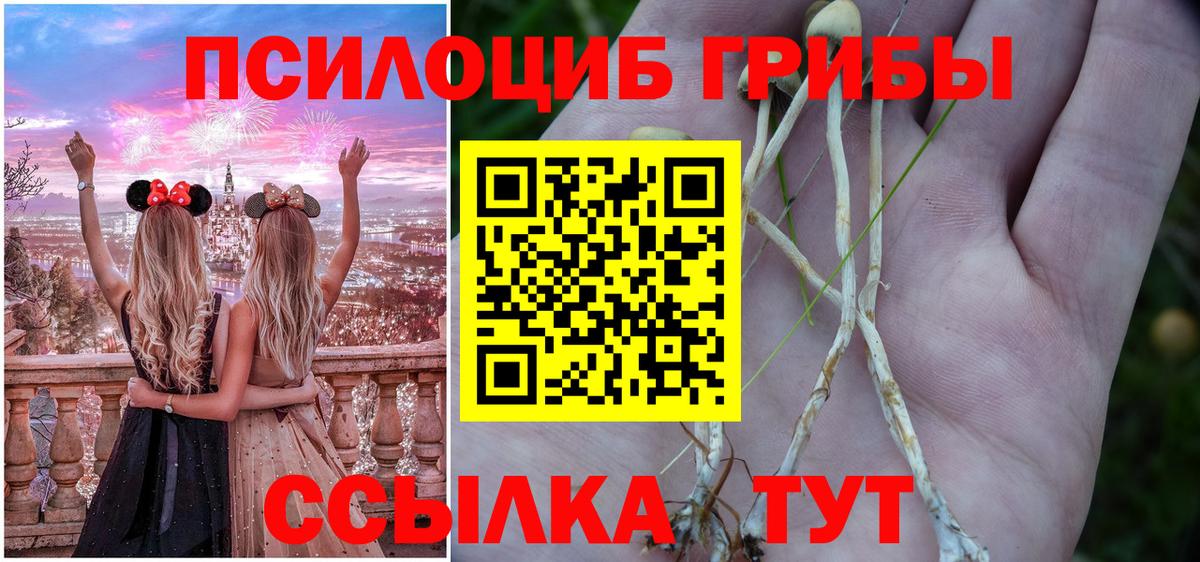 Галлюциногенные грибы Cubensis Нововоронеж